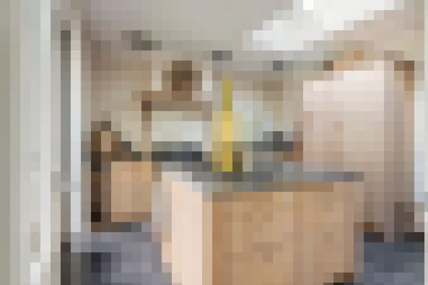Esdoornstraat 27 Geldermalsen thumbnail 15
