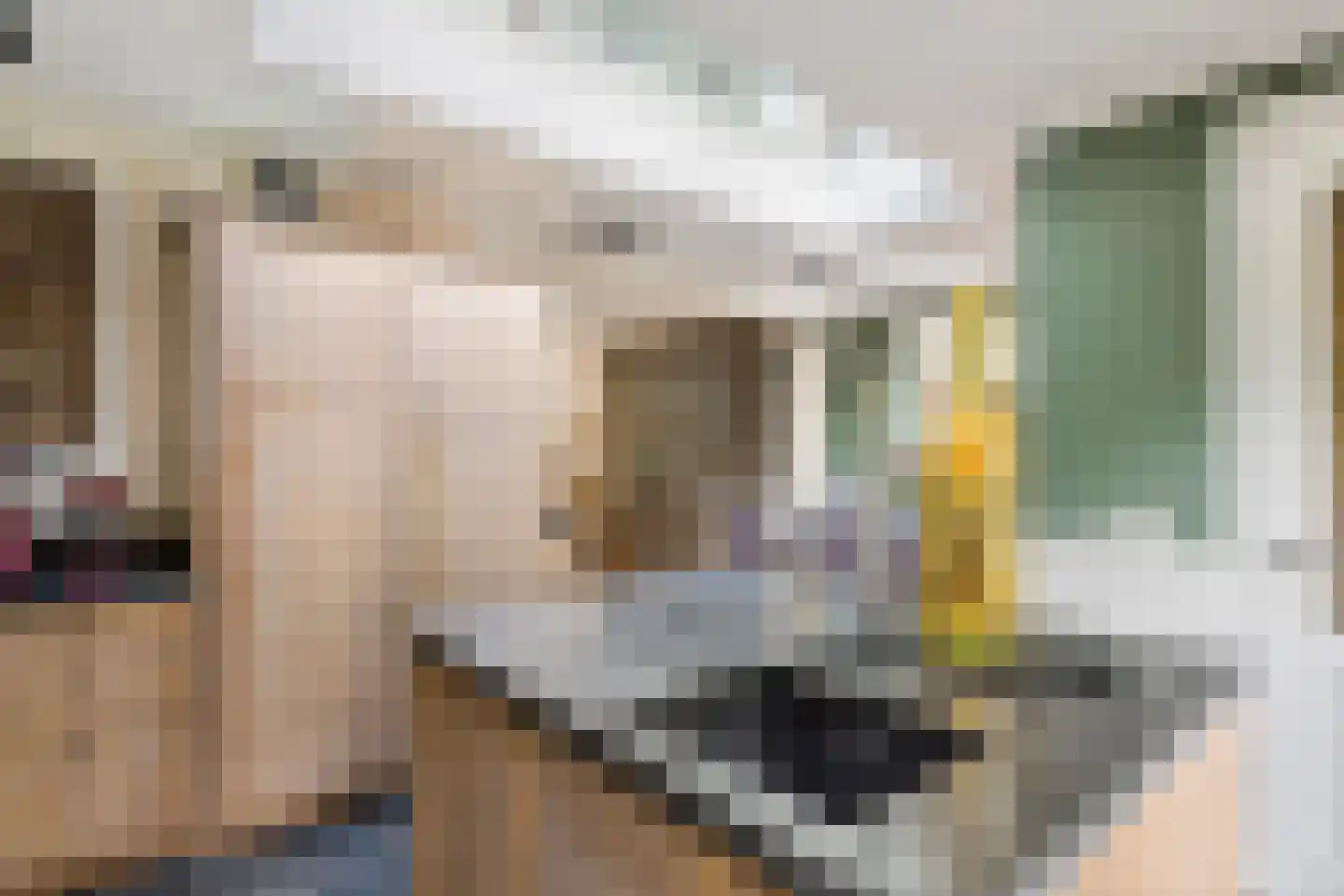 Esdoornstraat 27 Geldermalsen thumbnail 18