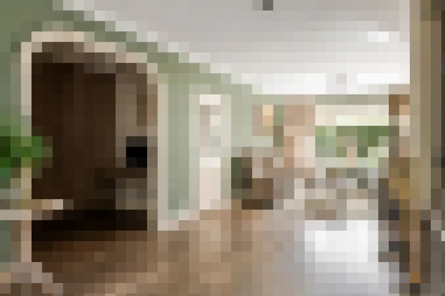 Esdoornstraat 27 Geldermalsen thumbnail 20