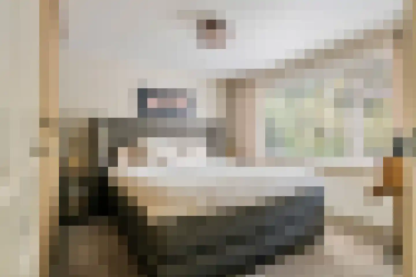 Esdoornstraat 27 Geldermalsen thumbnail 23