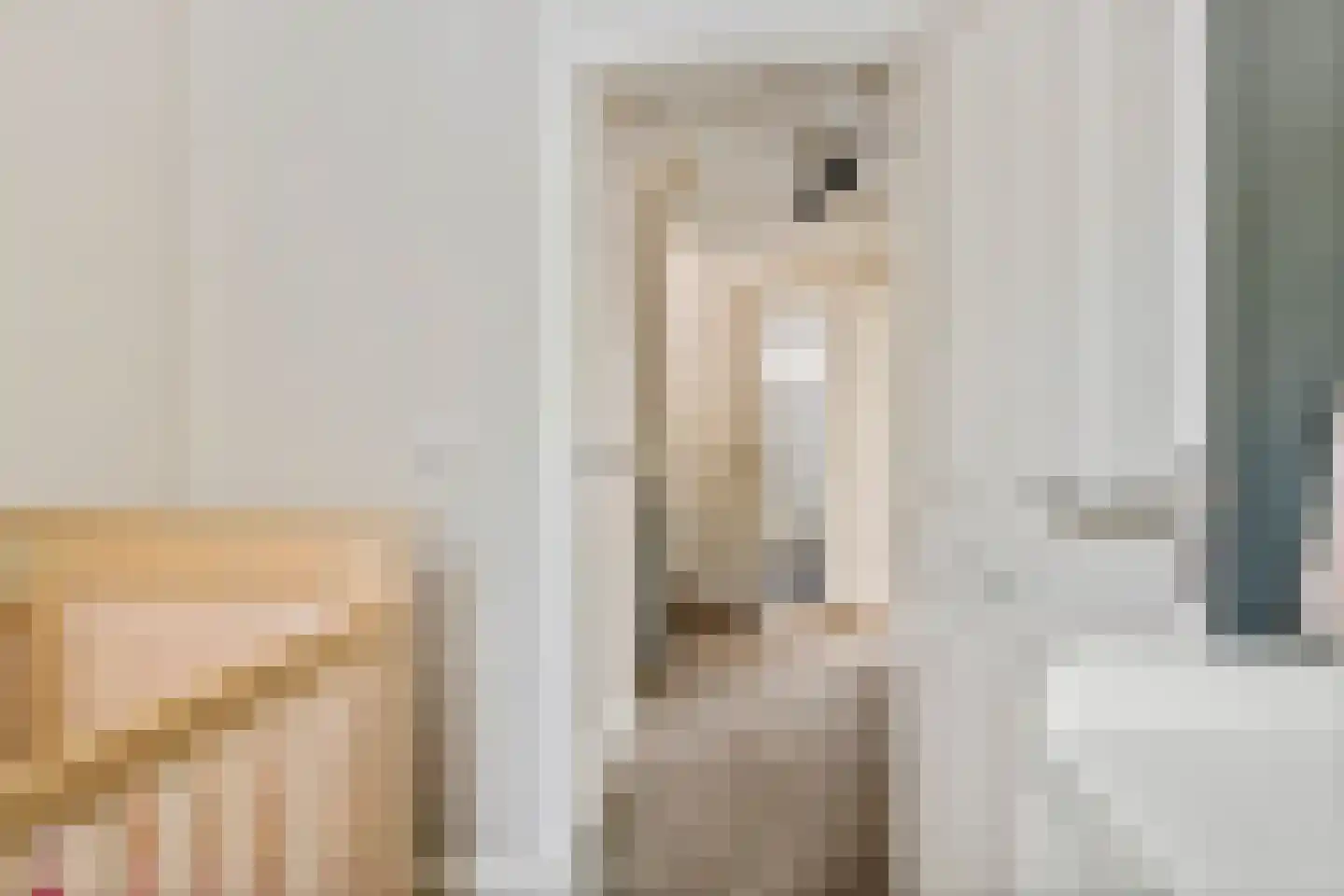 Esdoornstraat 27 Geldermalsen thumbnail 28