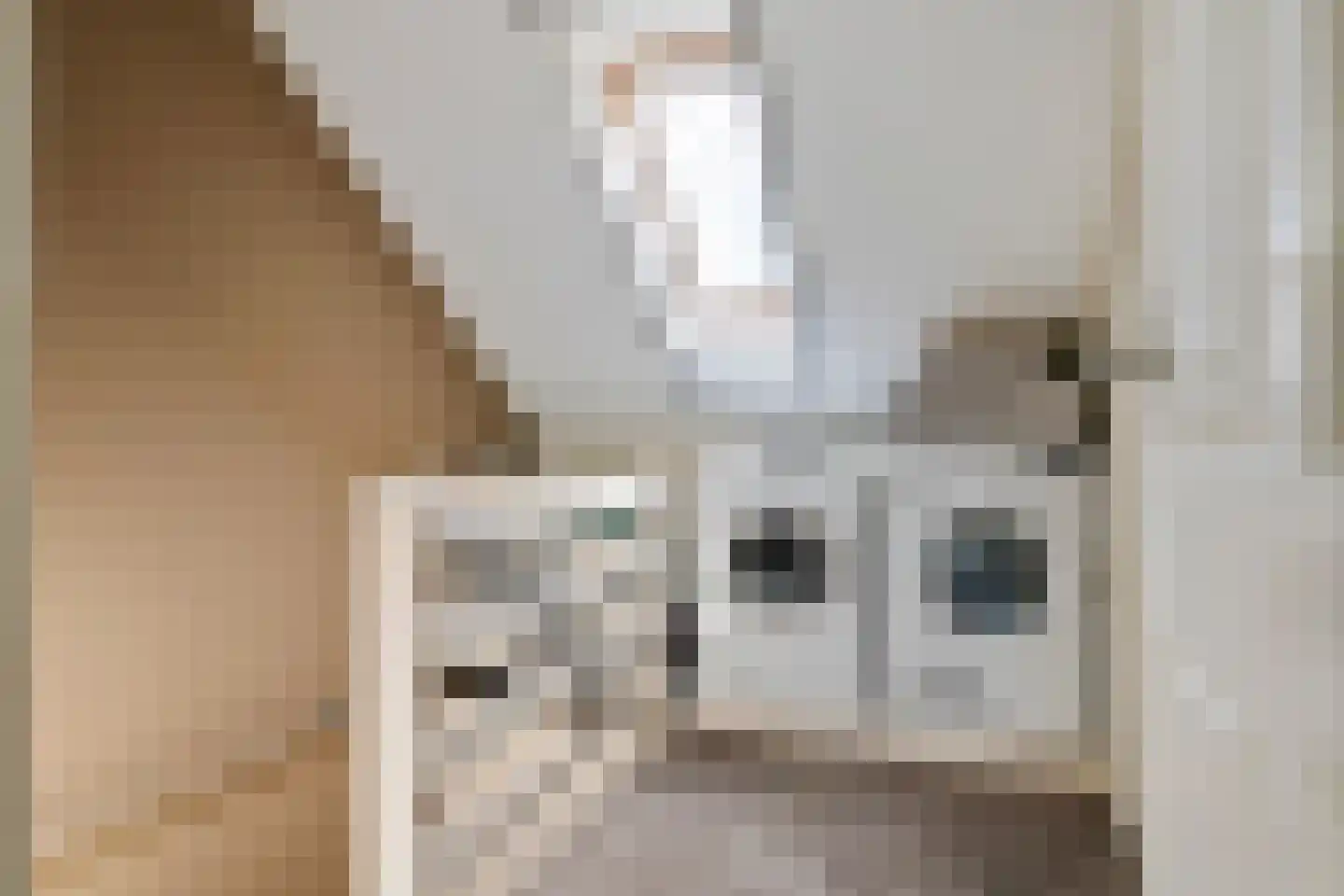 Esdoornstraat 27 Geldermalsen thumbnail 33