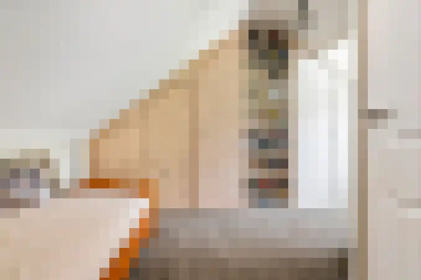 Esdoornstraat 27 Geldermalsen thumbnail 34
