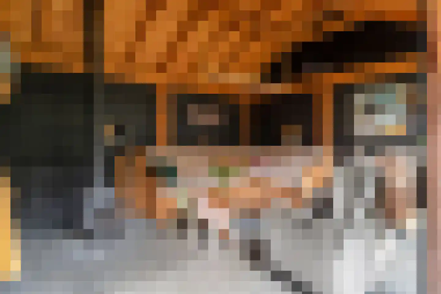 Esdoornstraat 27 Geldermalsen thumbnail 41