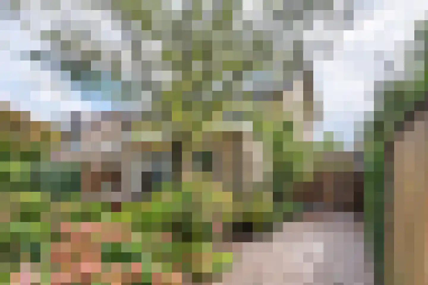 Esdoornstraat 27 Geldermalsen thumbnail 45