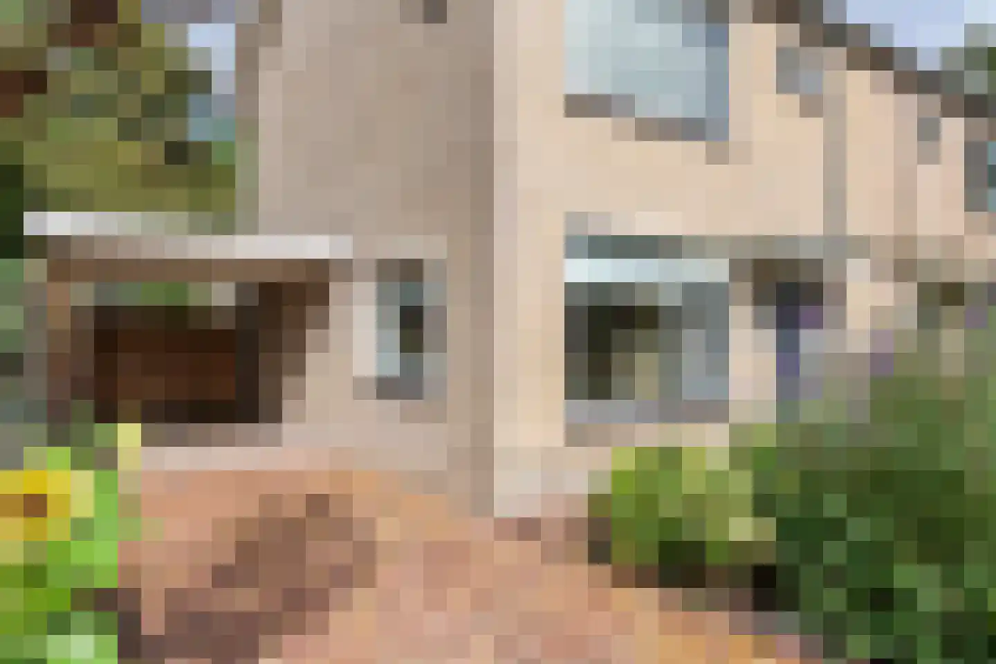Esdoornstraat 27 Geldermalsen thumbnail 46