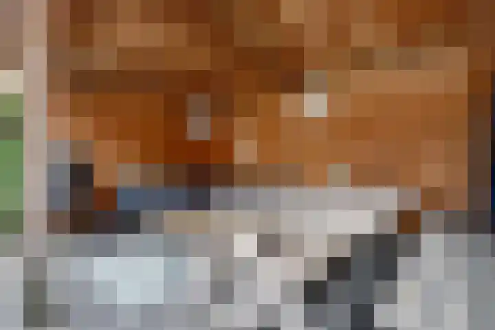 Esdoornstraat 27 Nieuwerkerk thumbnail 31