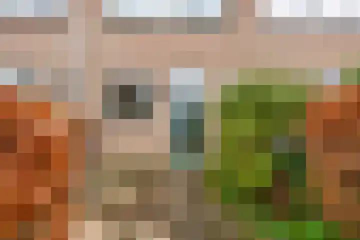 Esdoornstraat 3 Bleiswijk thumbnail 5