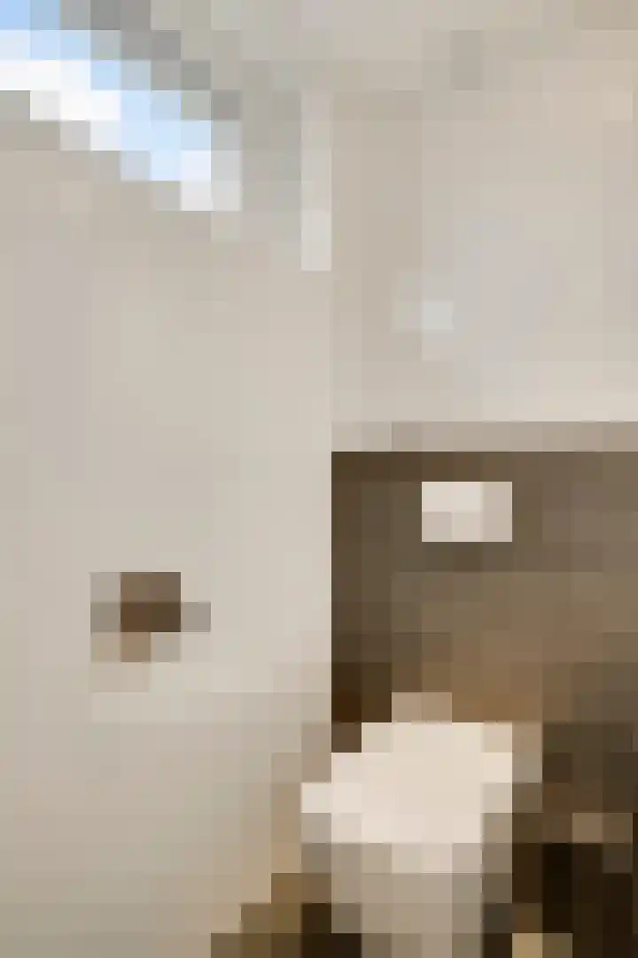 Esdoornstraat 3 Nederweert thumbnail 27