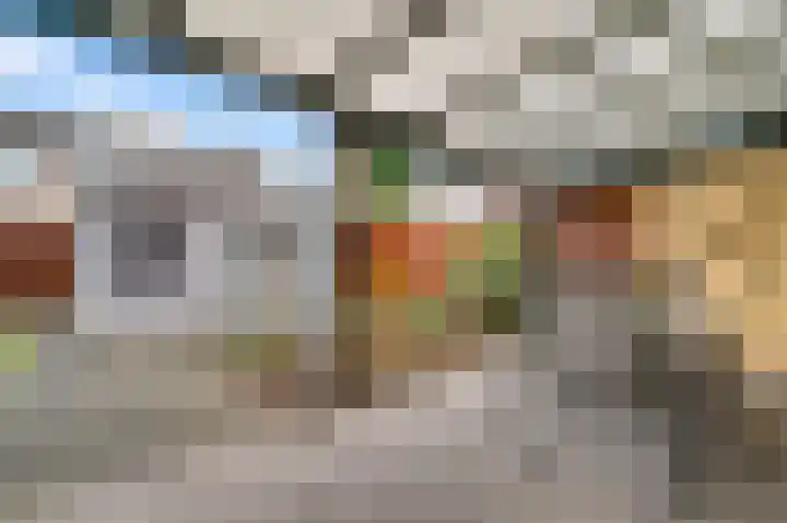 Esdoornstraat 3 Nederweert thumbnail 32