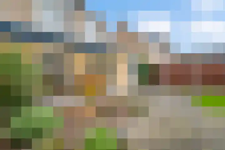 Esdoornstraat 3 Nederweert thumbnail 33