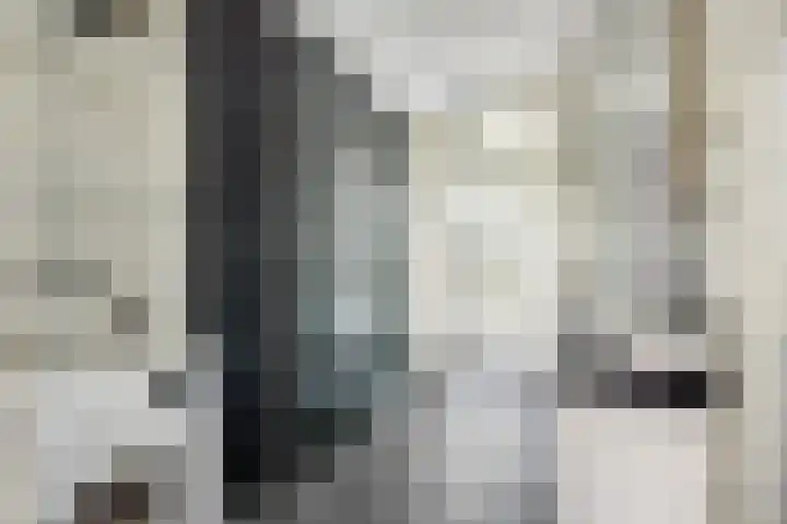 Esdoornstraat 3 Utrecht thumbnail 21