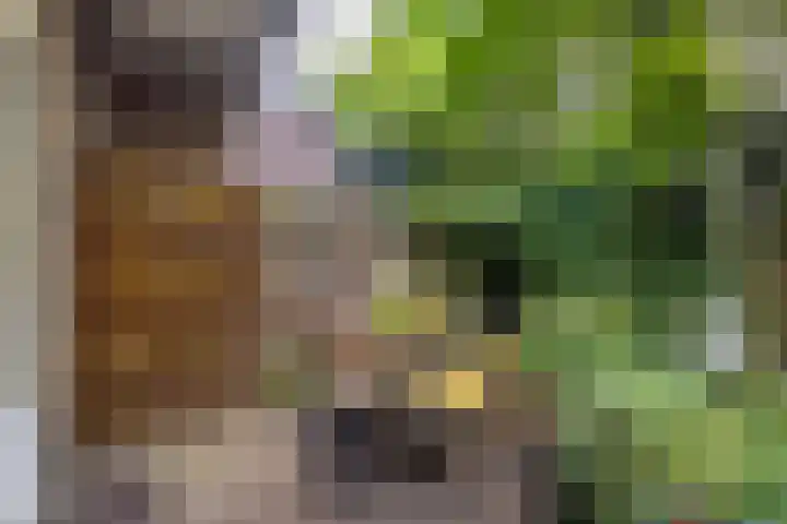 Esdoornstraat 3 Utrecht thumbnail 30