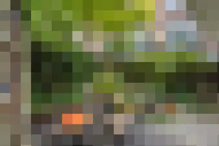 Esdoornstraat 3 Utrecht thumbnail 31