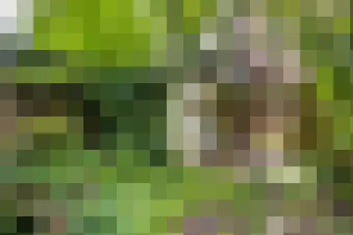 Esdoornstraat 3 Utrecht thumbnail 33