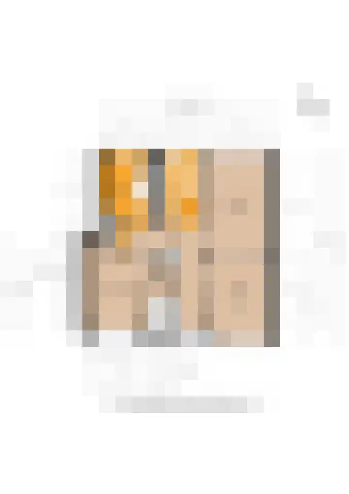 Esdoornstraat 3 Utrecht thumbnail 39