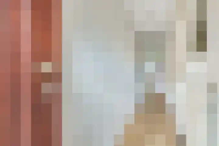 Esdoornstraat 3 Utrecht thumbnail 5