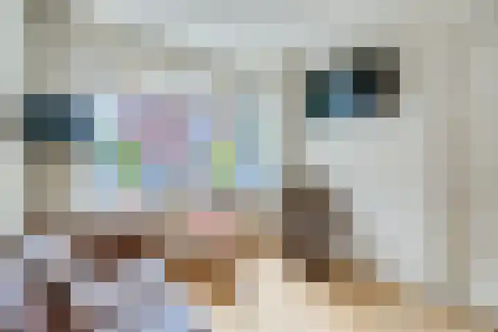 Esdoornstraat 3 Utrecht thumbnail 7