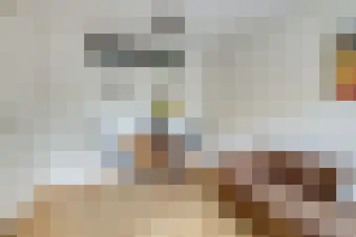 Esdoornstraat 3 Utrecht thumbnail 8