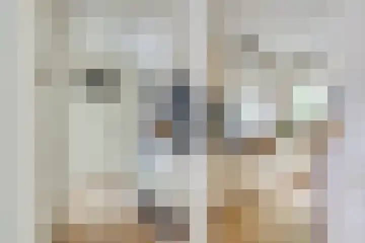 Esdoornstraat 3 Utrecht thumbnail 9