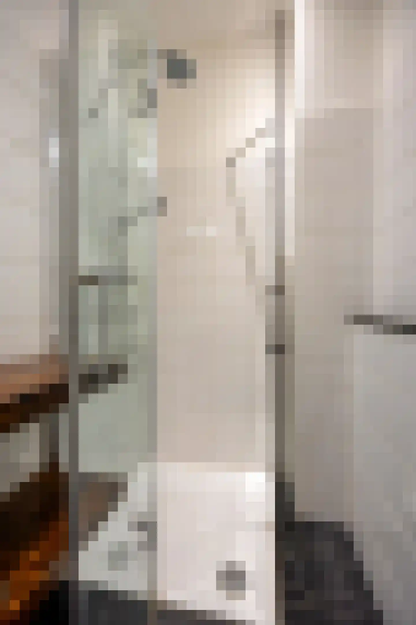 Esdoornstraat 30 Rijswijk thumbnail 17