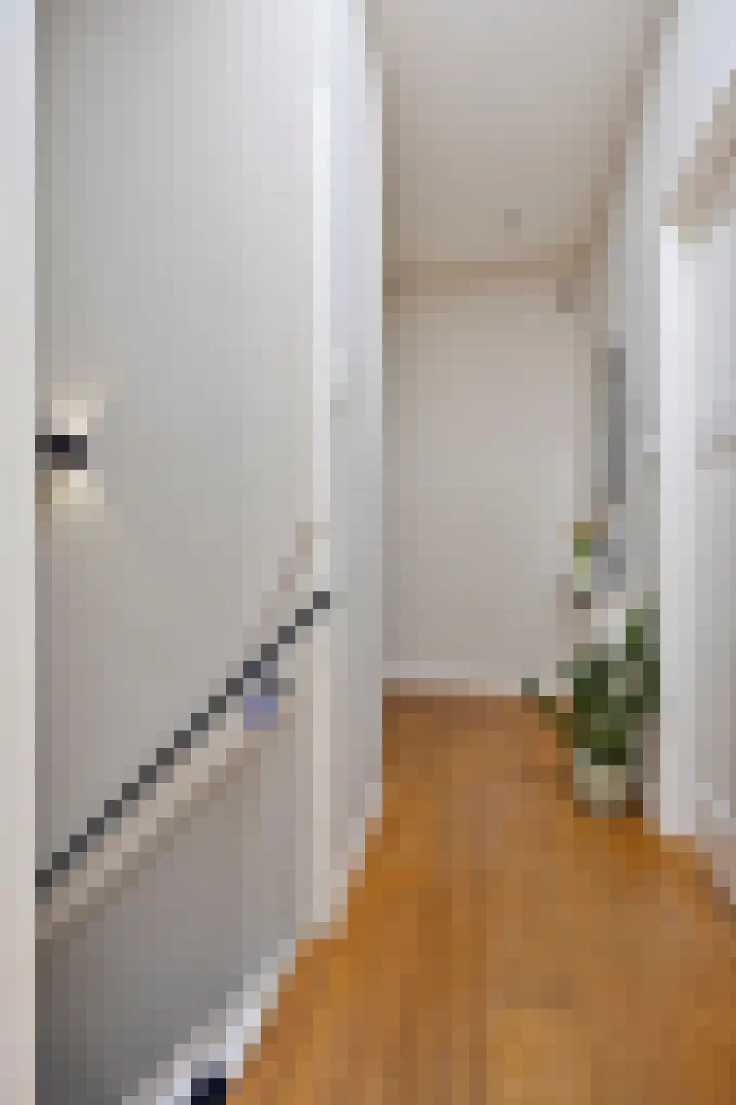 Esdoornstraat 30 Rijswijk thumbnail 25