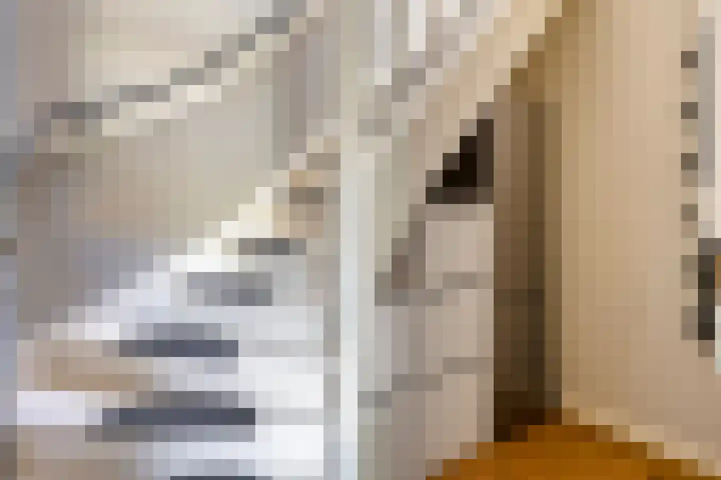 Esdoornstraat 30 Rijswijk thumbnail 26