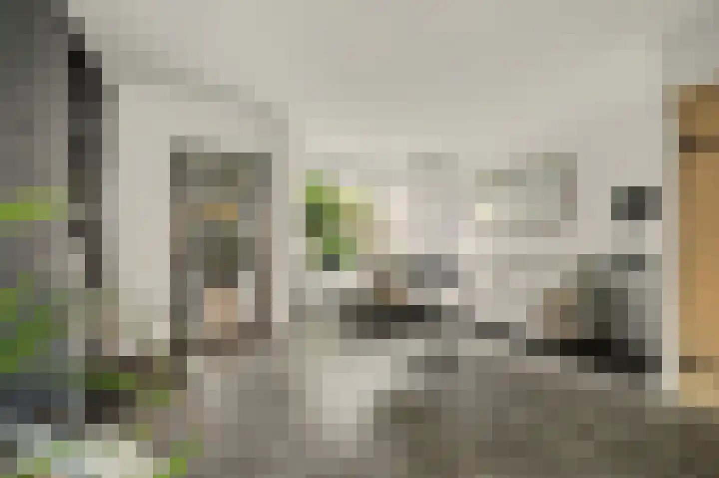 Esdoornstraat 31 's-Gravenpolder thumbnail 11