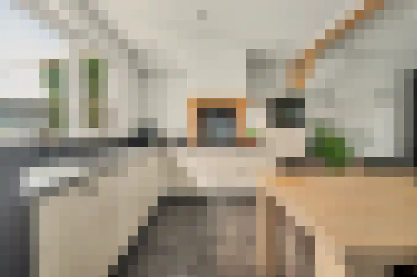 Esdoornstraat 31 's-Gravenpolder thumbnail 16