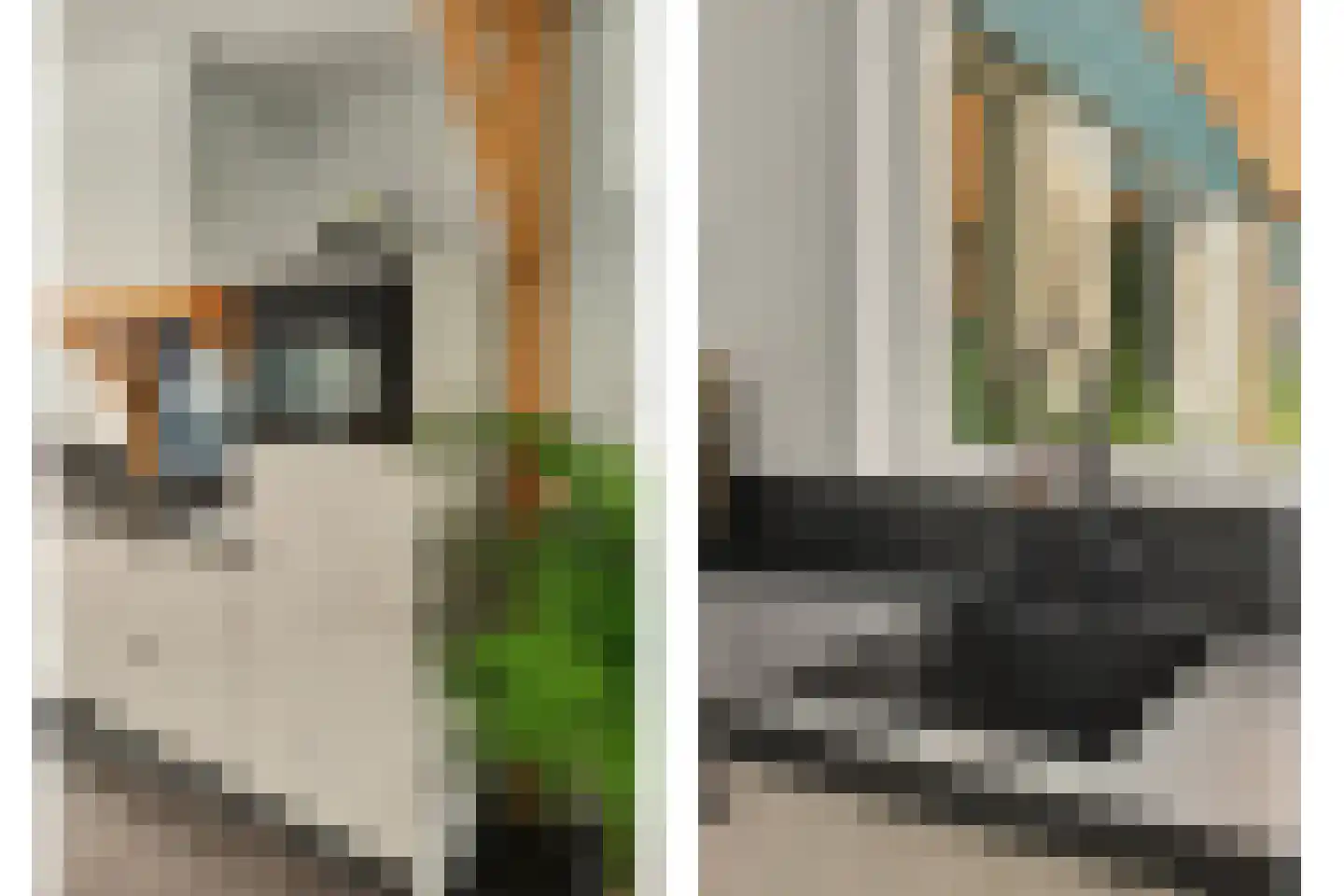 Esdoornstraat 31 's-Gravenpolder thumbnail 18