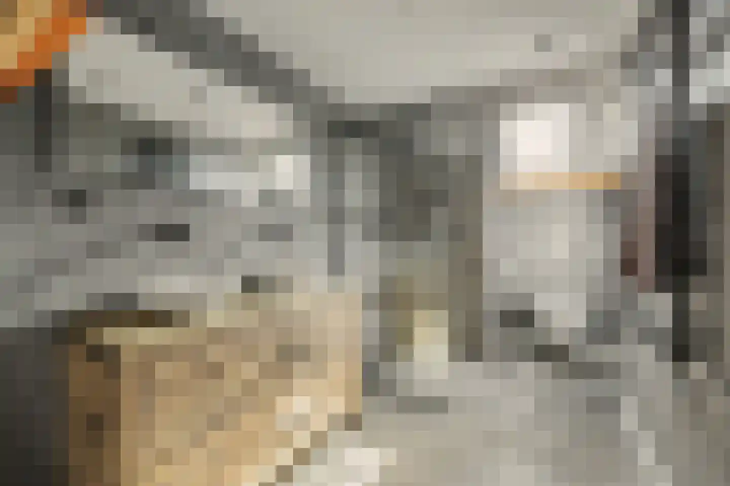 Esdoornstraat 31 's-Gravenpolder thumbnail 26
