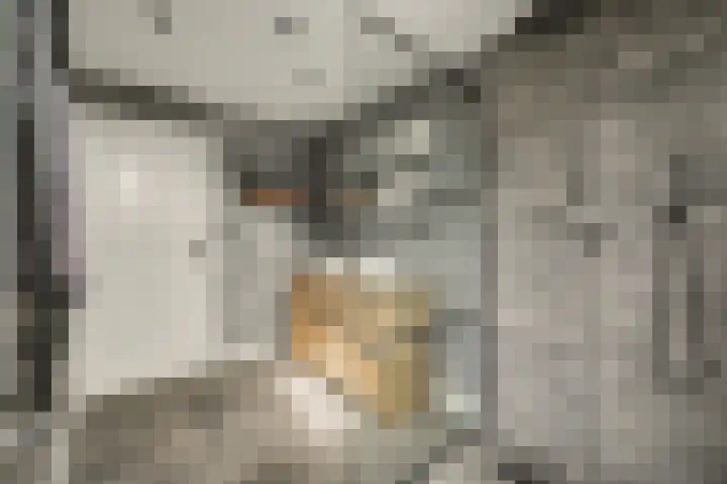 Esdoornstraat 31 's-Gravenpolder thumbnail 27