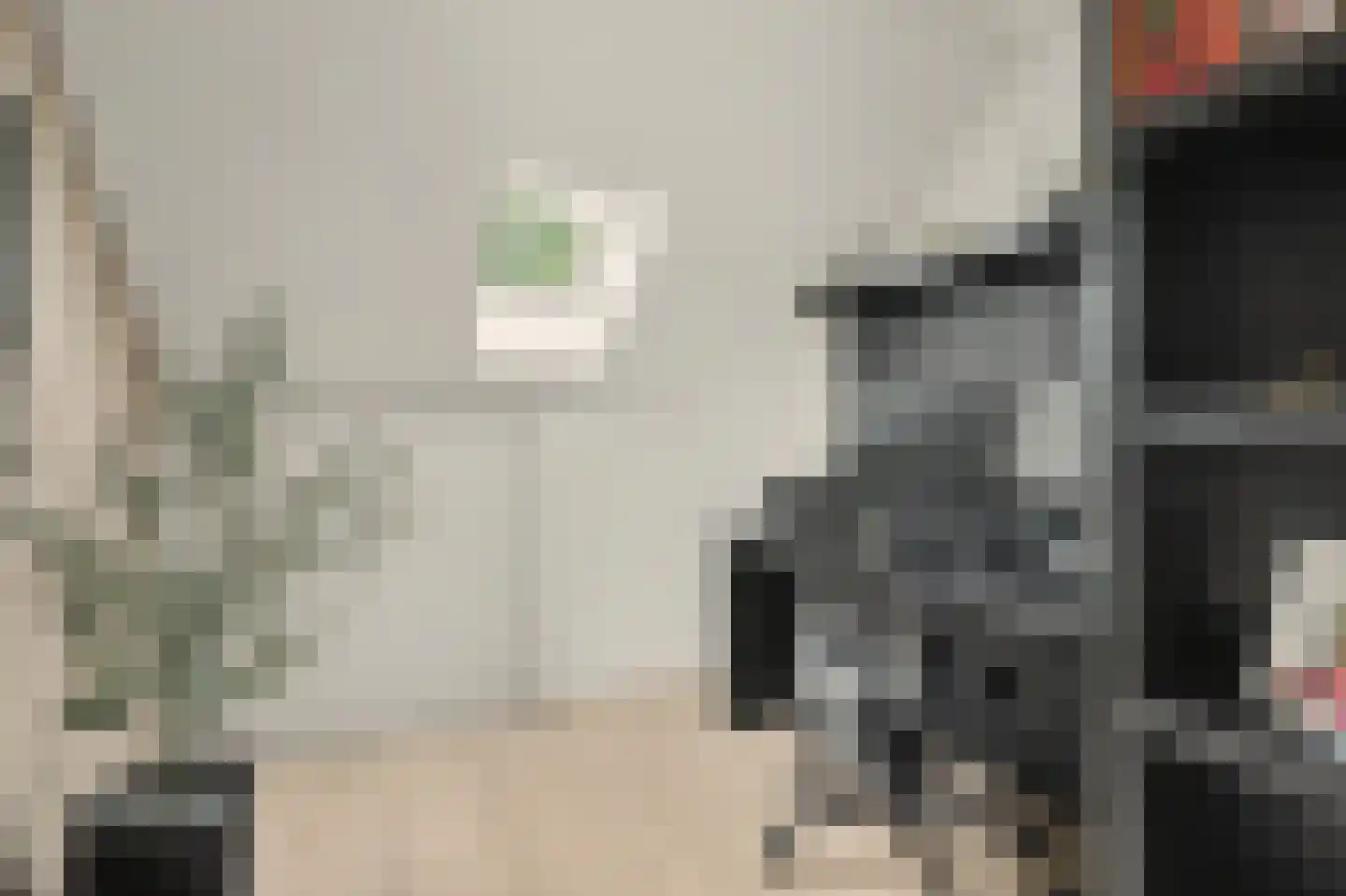 Esdoornstraat 31 's-Gravenpolder thumbnail 30
