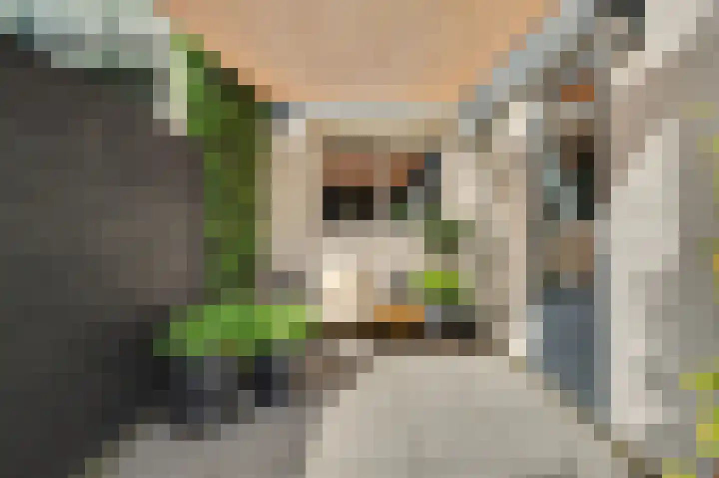 Esdoornstraat 31 's-Gravenpolder thumbnail 35