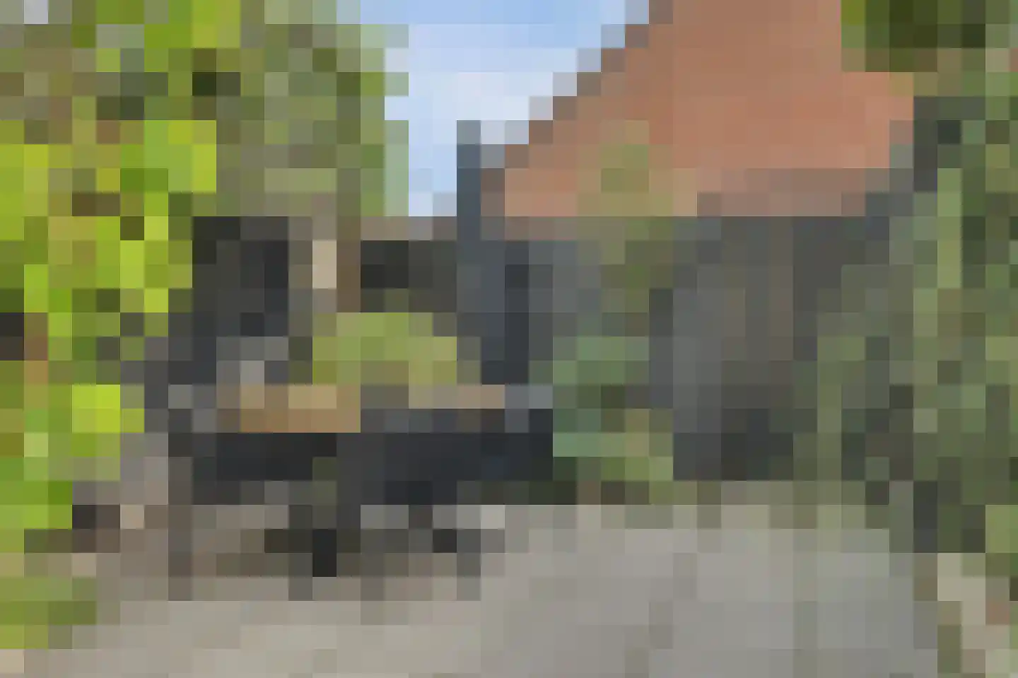 Esdoornstraat 31 's-Gravenpolder thumbnail 36