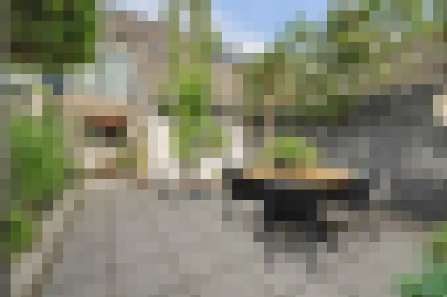 Esdoornstraat 31 's-Gravenpolder thumbnail 37