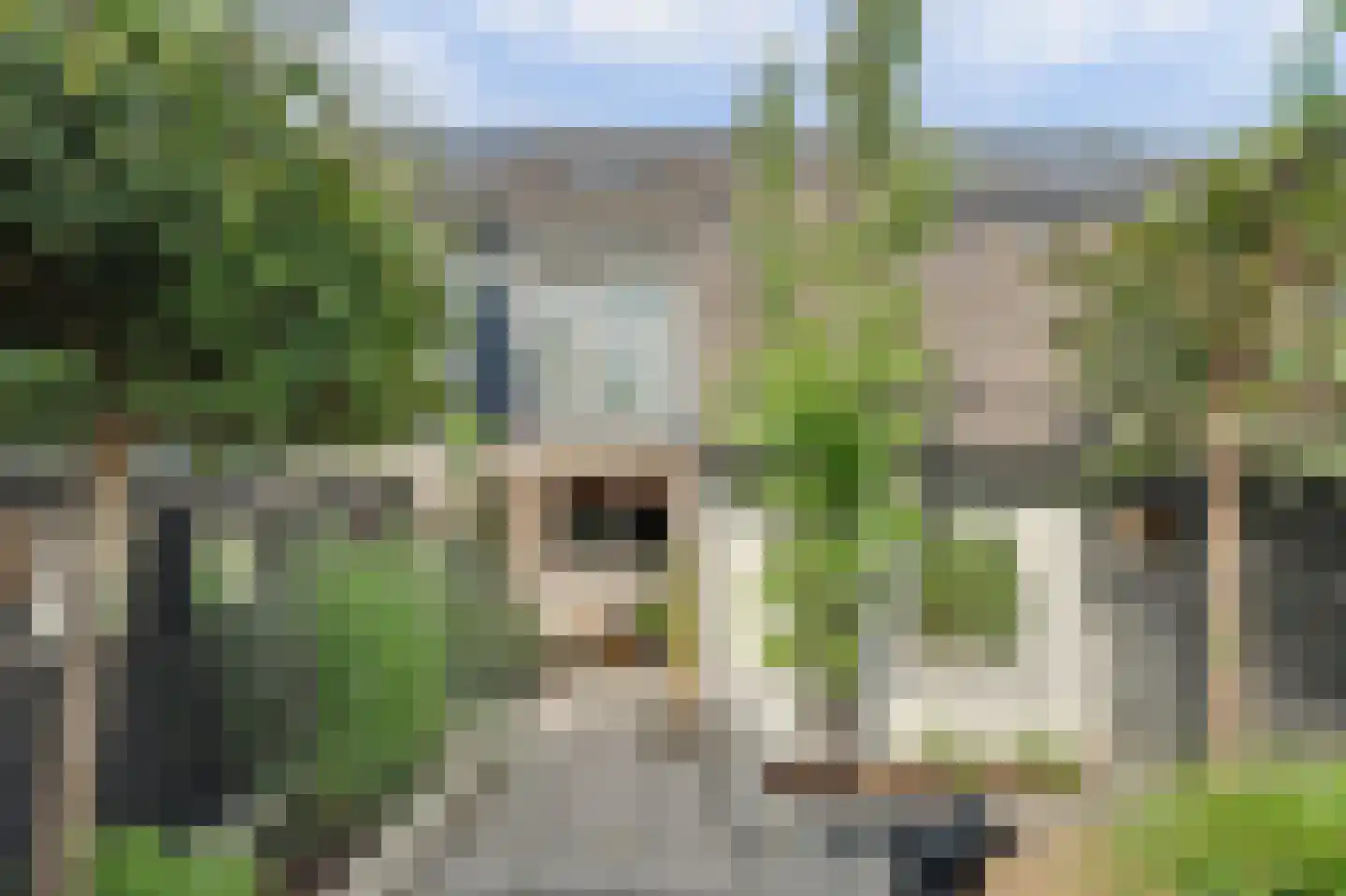 Esdoornstraat 31 's-Gravenpolder thumbnail 39