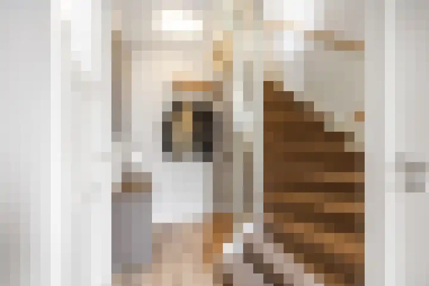 Esdoornstraat 31 Uithuizermeeden thumbnail 10