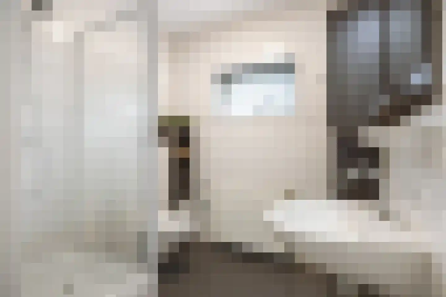 Esdoornstraat 31 Uithuizermeeden thumbnail 39