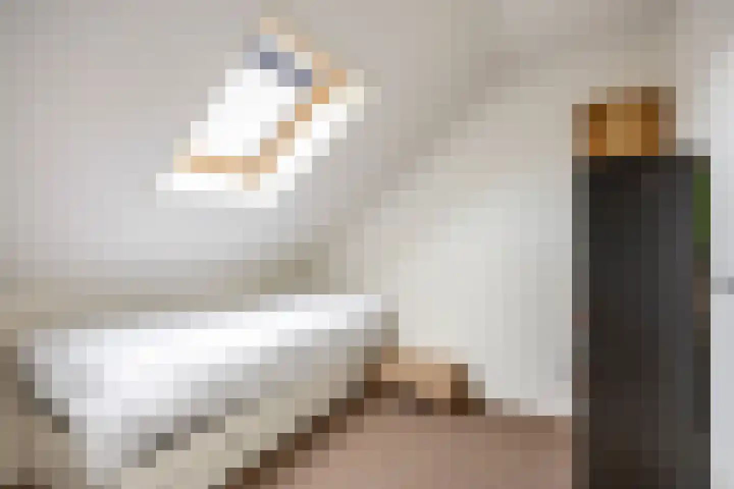 Esdoornstraat 31 Uithuizermeeden thumbnail 44
