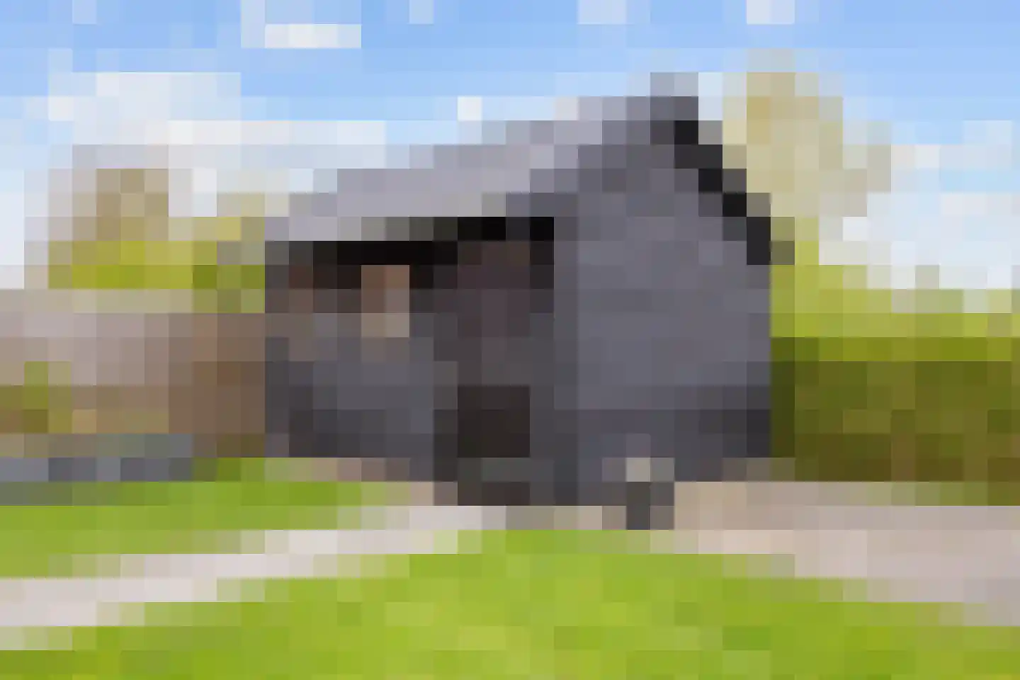 Esdoornstraat 31 Uithuizermeeden thumbnail 51