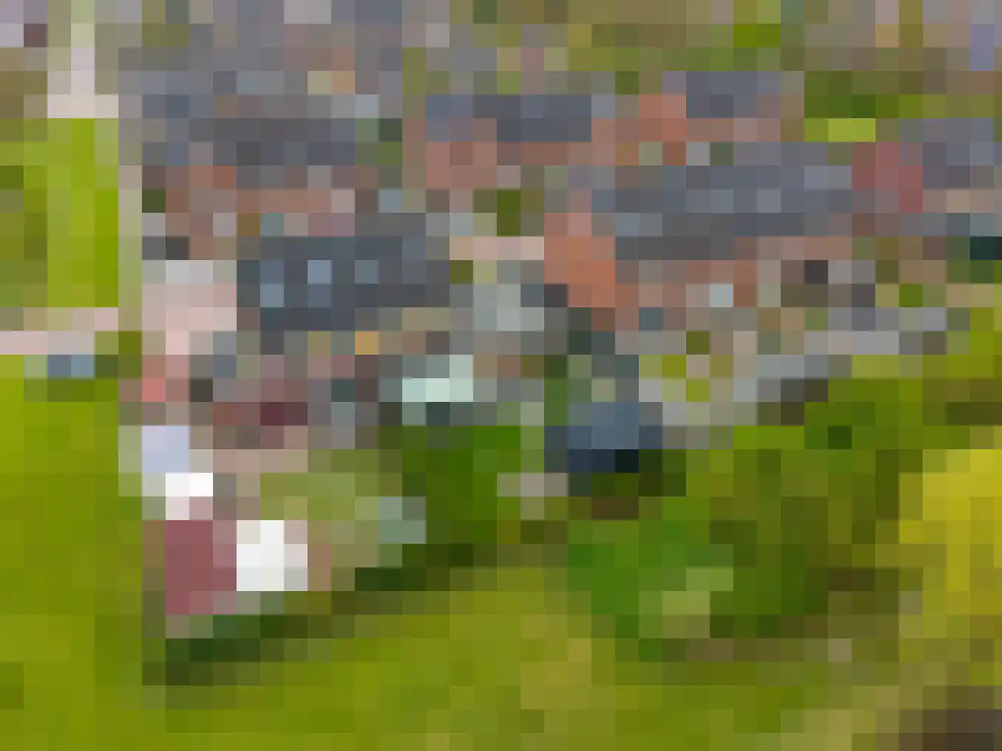 Esdoornstraat 31 Uithuizermeeden thumbnail 60