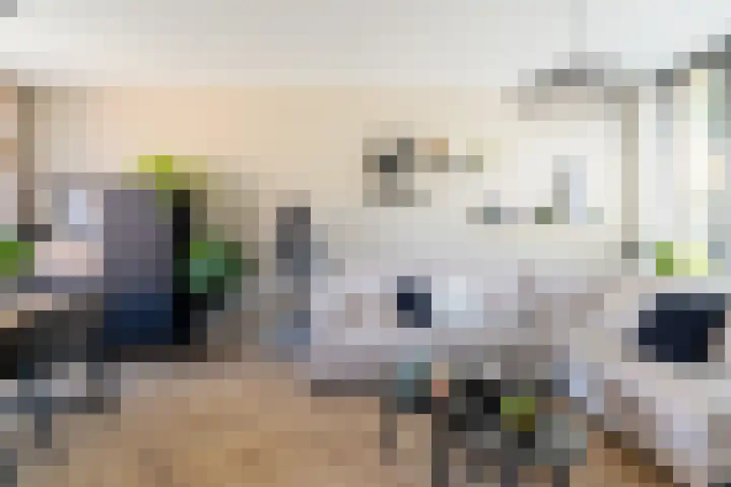 Esdoornstraat 33 Waalwijk thumbnail 7