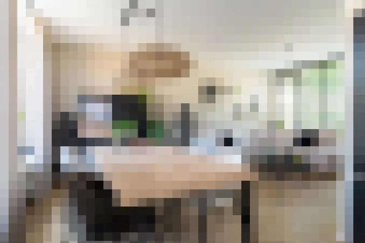 Esdoornstraat 33 Waalwijk thumbnail 9
