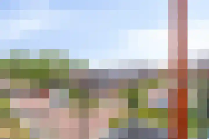 Esdoornstraat 35 Maurik thumbnail 22
