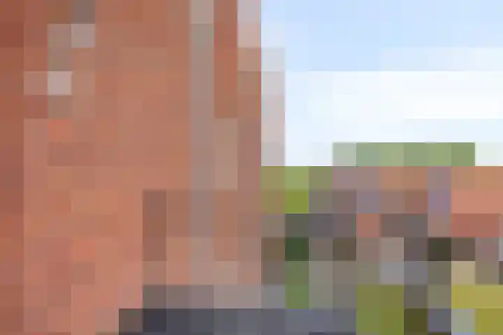 Esdoornstraat 35 Maurik thumbnail 23