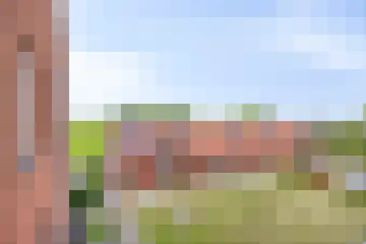 Esdoornstraat 35 Maurik thumbnail 24