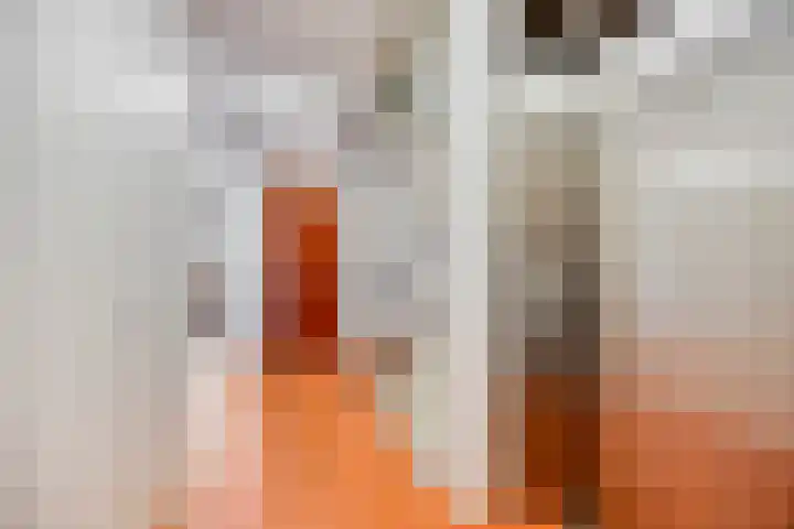 Esdoornstraat 35 Maurik thumbnail 30