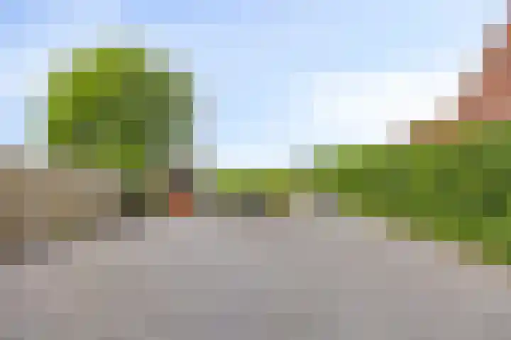 Esdoornstraat 35 Maurik thumbnail 36