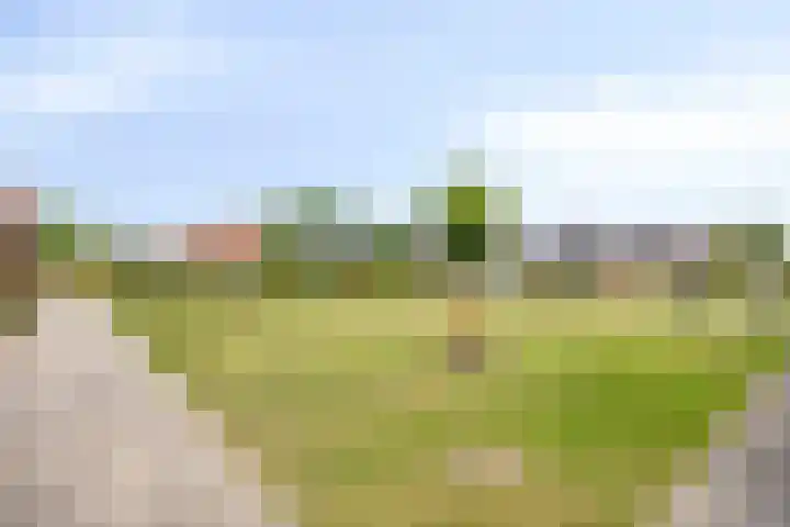 Esdoornstraat 35 Maurik thumbnail 38